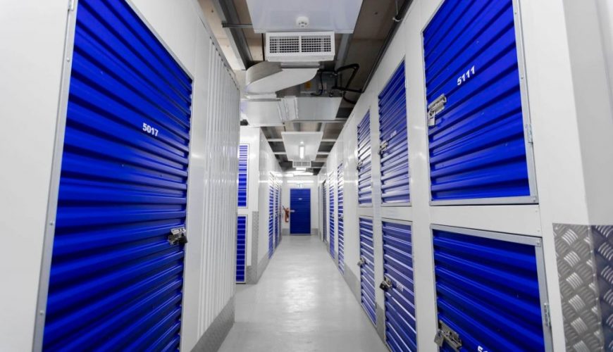 How Storage Companies Handle Pest Control